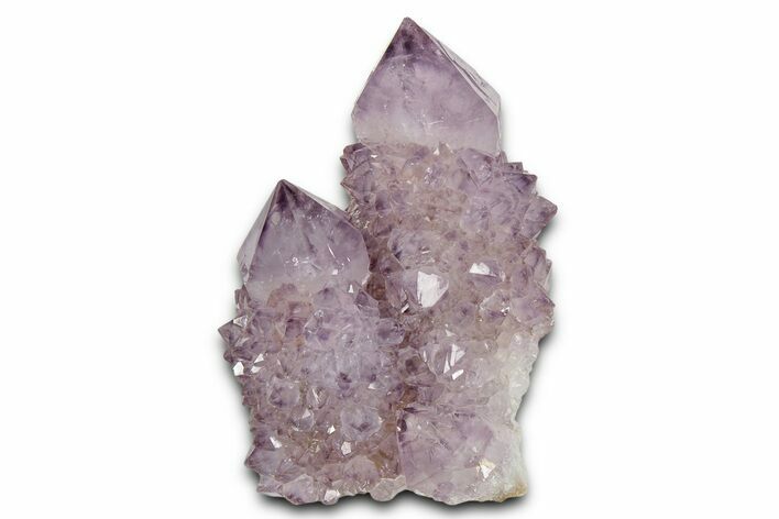 Deep-Purple Cactus Amethyst Crystal Cluster - South Africa #337611